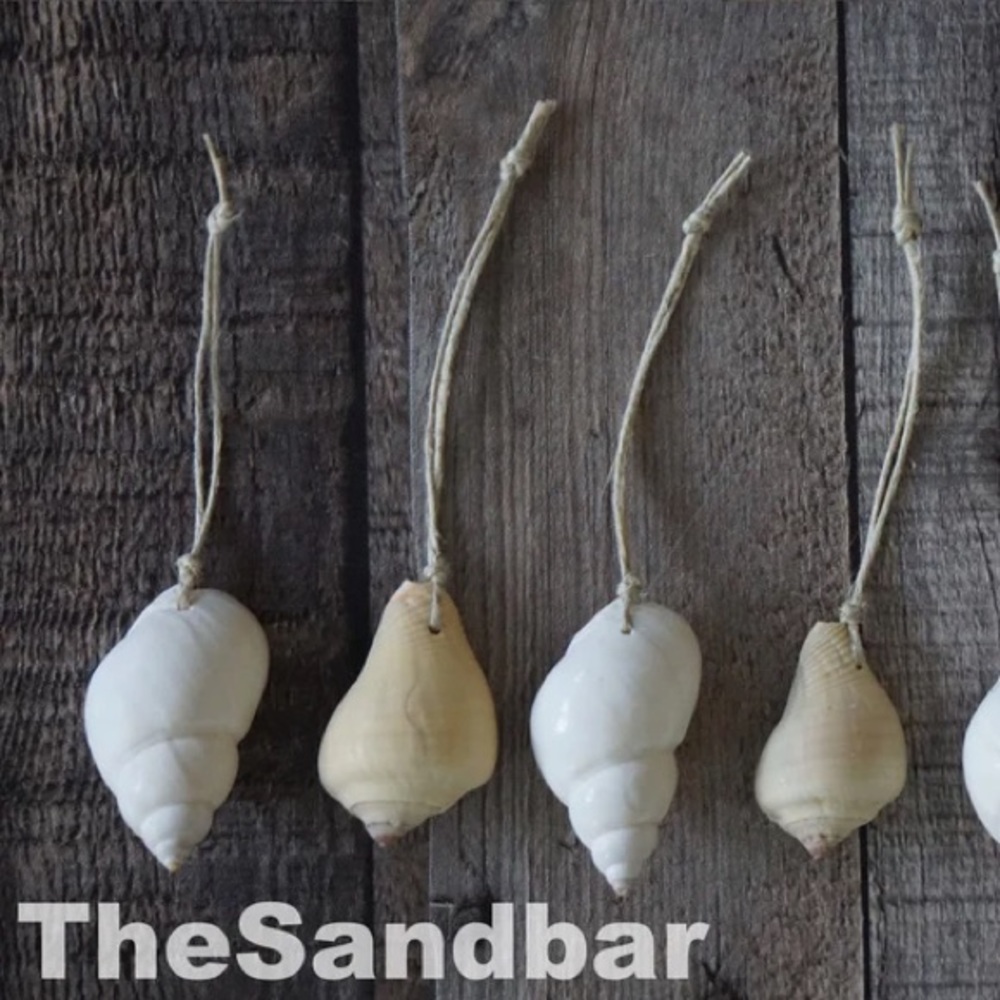 Beach Ornaments Shell Ornament Seashell Gift Set of 6 Wedding Favors TheSandbar